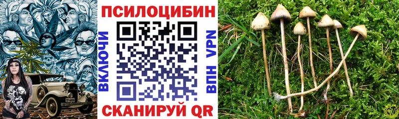 Галлюциногенные грибы GOLDEN TEACHER  Энем 